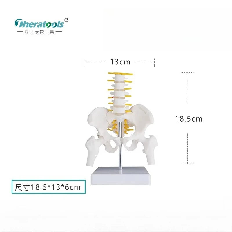 Dimensions et détails du système de fixation sur socle stable⁠
