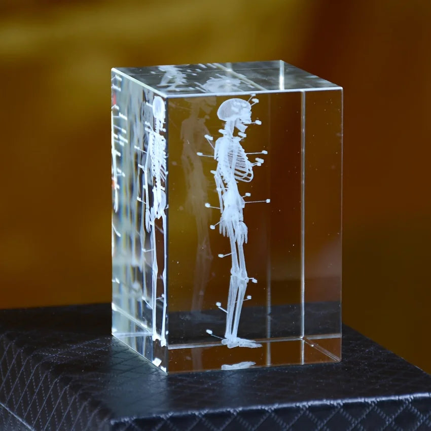 Bloc de cristal transparent avec gravure laser 3D du squelette humain complet pour décoration médicale