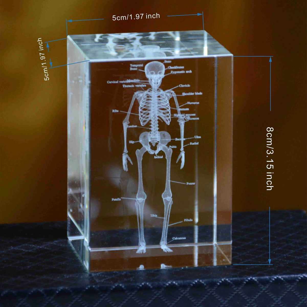 Bloc de cristal transparent avec gravure laser 3D du squelette humain complet pour décoration médicale